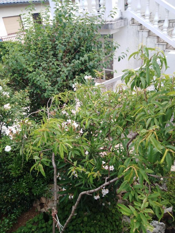 Apartman Marijana Novi Vinodolski Dış mekan fotoğraf